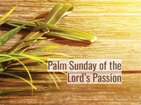 palm sunday of the lord's passion 2024